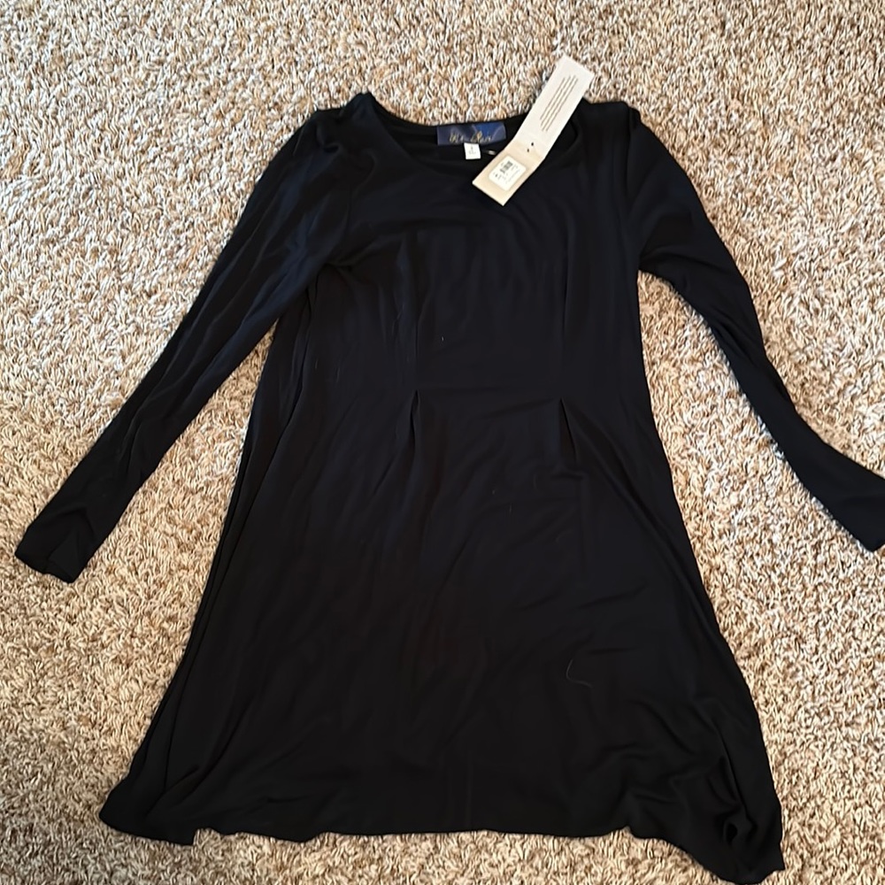 Blue Rain Black long sleeve dress. Never worn!
